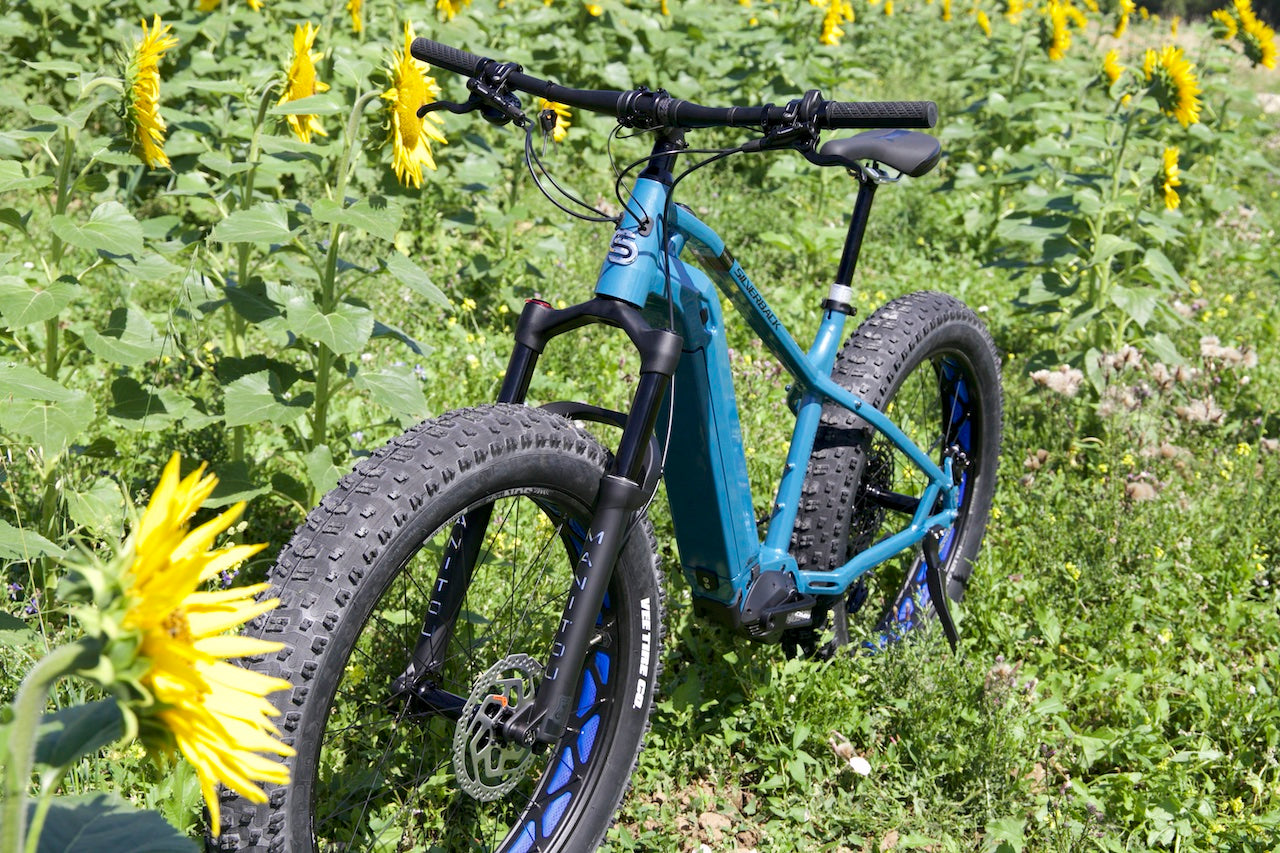 6 Reasons Your Summer Needs an E-Bike Adventure – Silverback Bikes